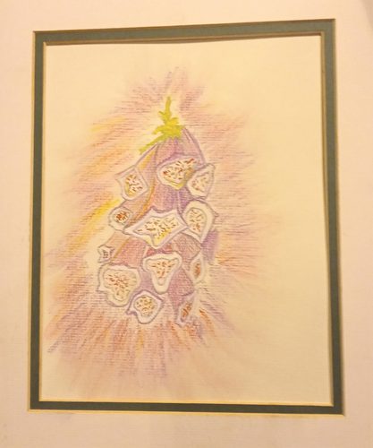 Christine P, Foxgloves, pastel pencils.